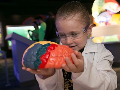 大脑闪电战:儿童动手脑科学